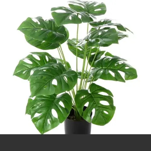 Montera Artificial Plant