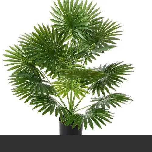 Fan Palm Artificial
