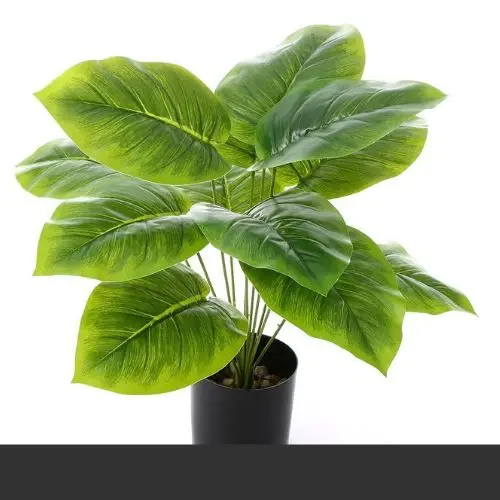 Money Plant Leaf Artificial