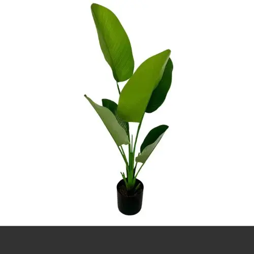 Banana Leaf 1.1 mtr.